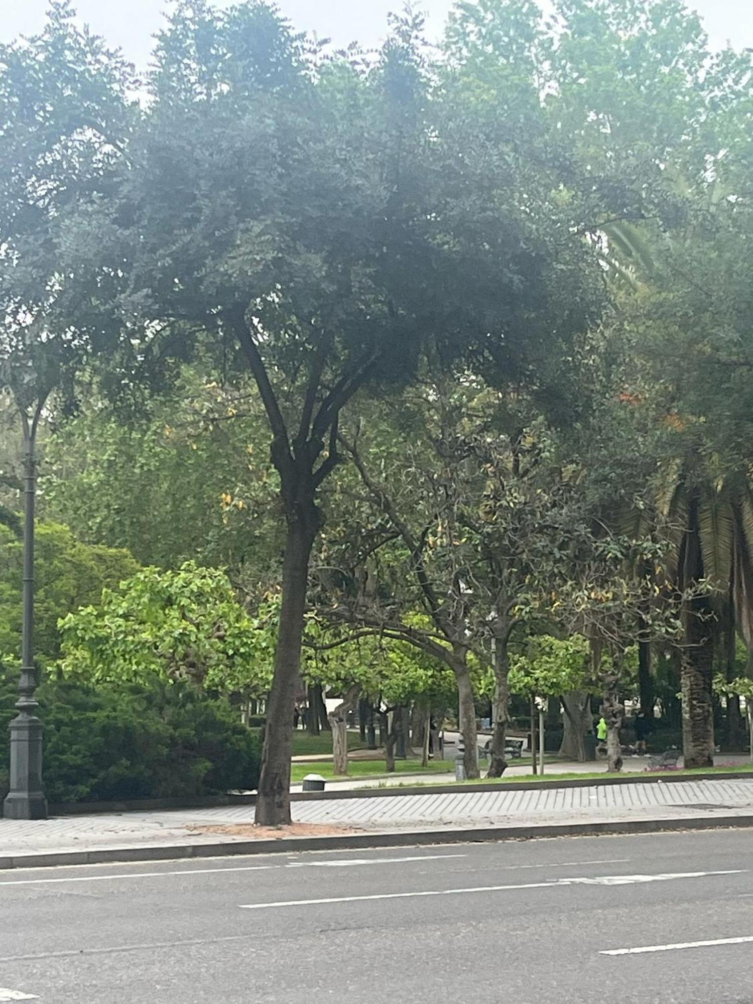 Apartamento Renfe Córdoba